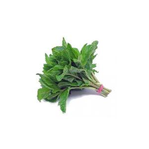 Mint Leaves (100g)