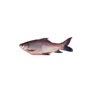 ROHU