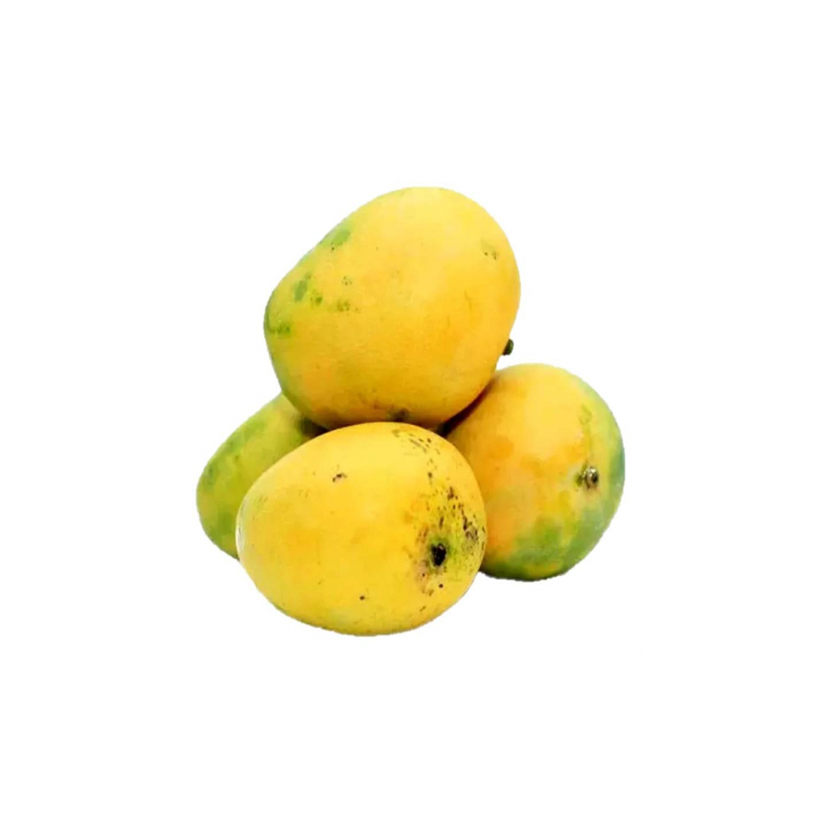 MANGO(AMRUPALI) BANGLADESH