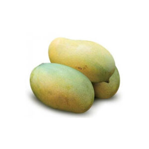 MANGO(FAZLI) BANGLADESH