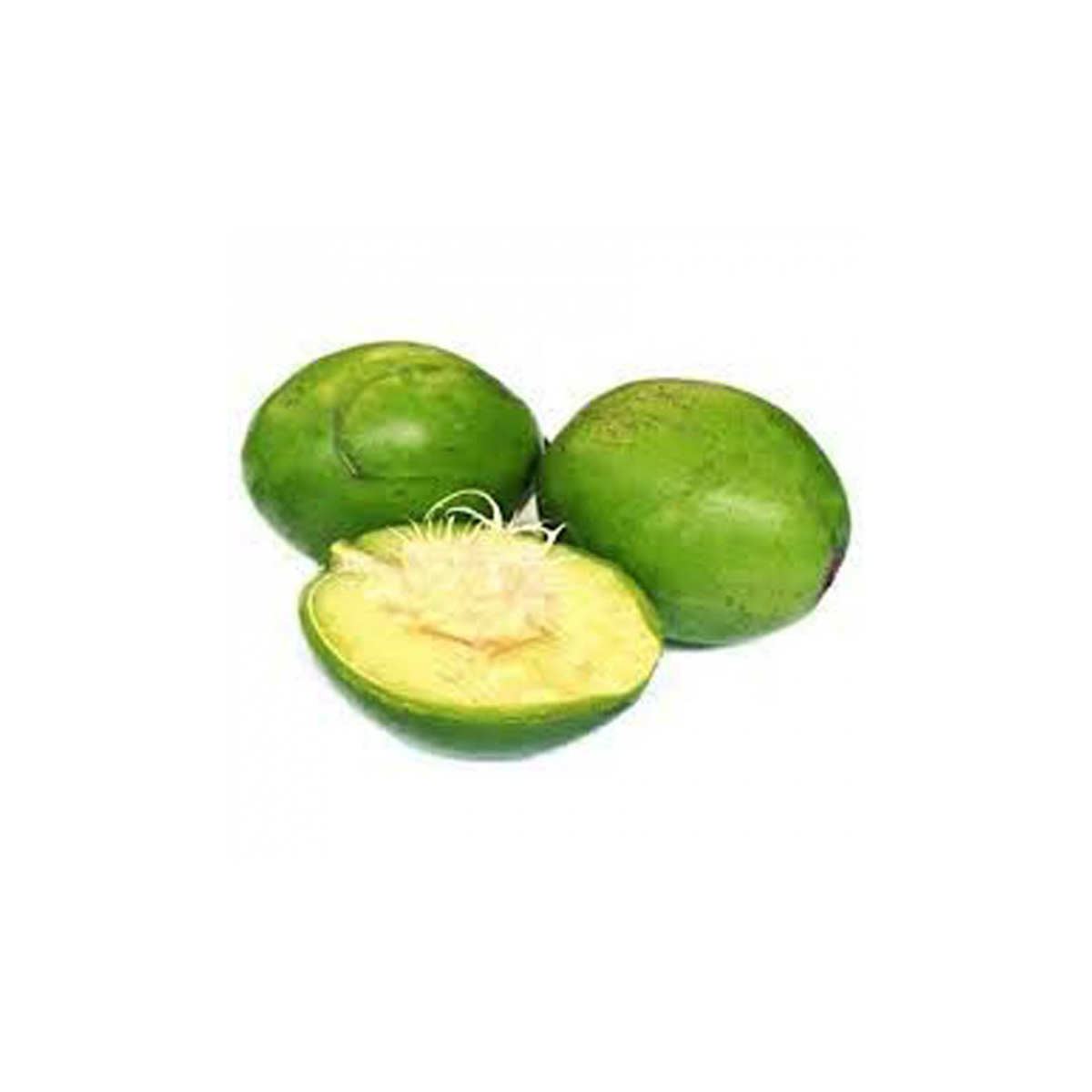 AMRA(HOGPLUM)