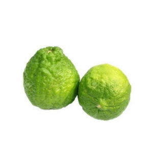 LEMON/ JARA LEBU